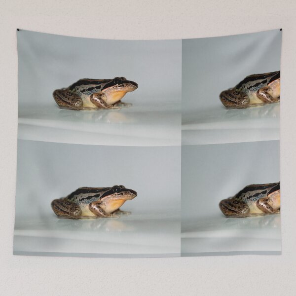 Item preview, Litoria nasuta designed and sold by andrachne.