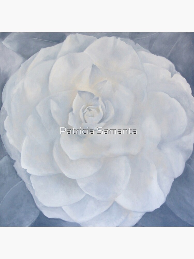 White Camelia by psamanta