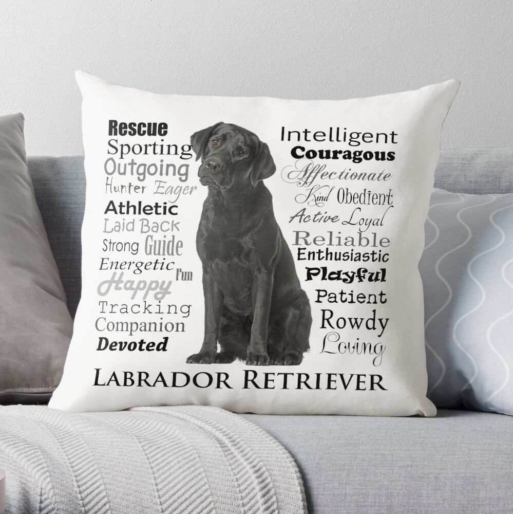 Black Lab Pillow, Dog Cushion, Labrador Retriever, Black Lab Gifts, Dog  Lover Gifts, Dog Throw Pillow 