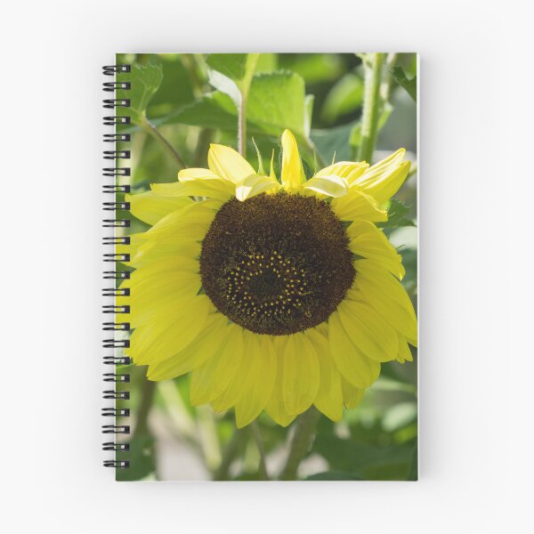 Item preview, A Lemony Yellow Sunflower - the Beautiful National Flower of Ukraine designed and sold by Georgia Mizuleva.