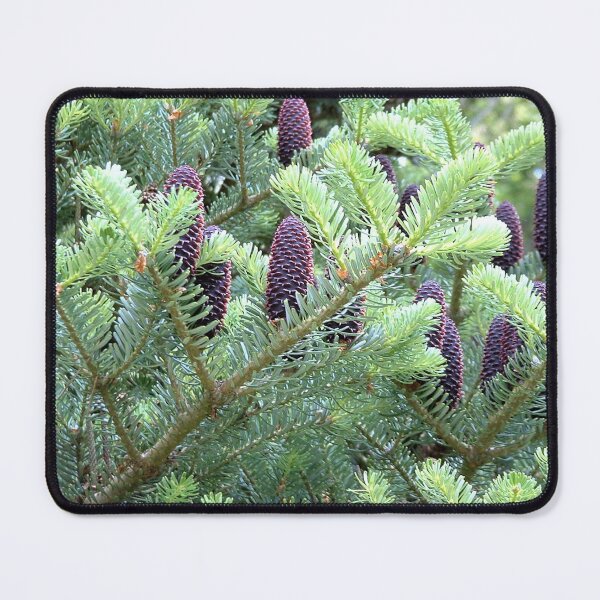 Item preview, Pine Cones, Sheffield Park, England designed and sold by QualitySolution.