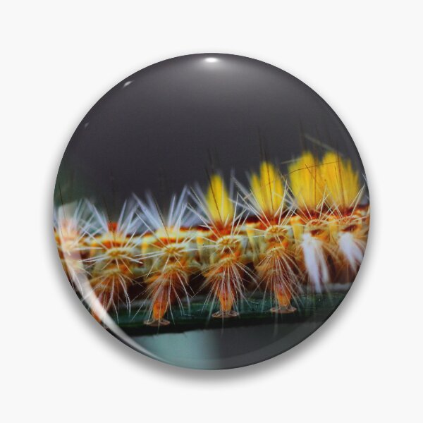 Item preview, Orgyia australis designed and sold by andrachne.