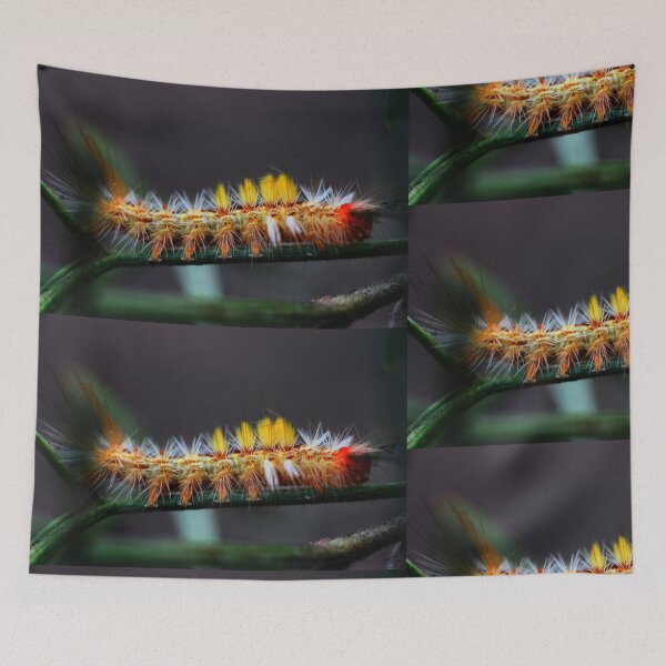 Item preview, Orgyia australis designed and sold by andrachne.