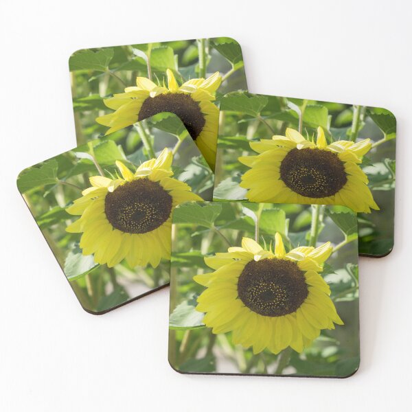 Item preview, A Lemony Yellow Sunflower - the Beautiful National Flower of Ukraine designed and sold by Georgia Mizuleva.