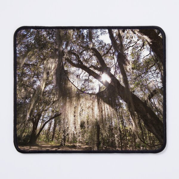 Item preview, The spanish moss of Dafuskie Island designed and sold by Yviemakes.