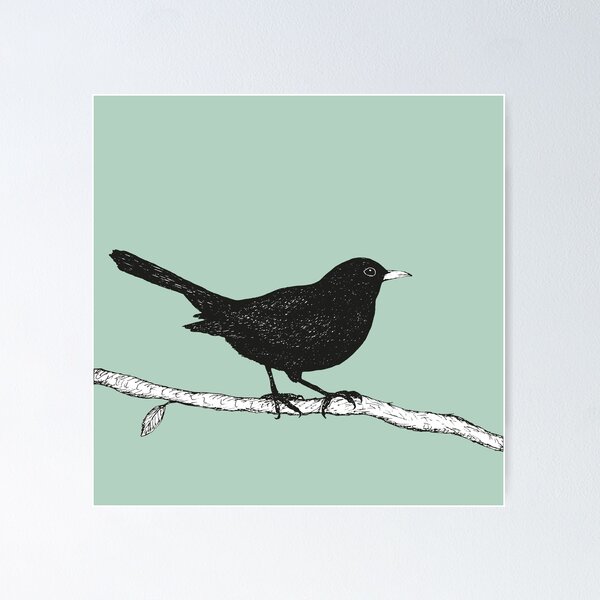 Item preview, Blackbird pen drawing designed and sold by Bwiselizzy.