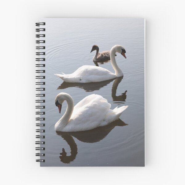 Item preview, Swans designed and sold by Raymond Kerr.