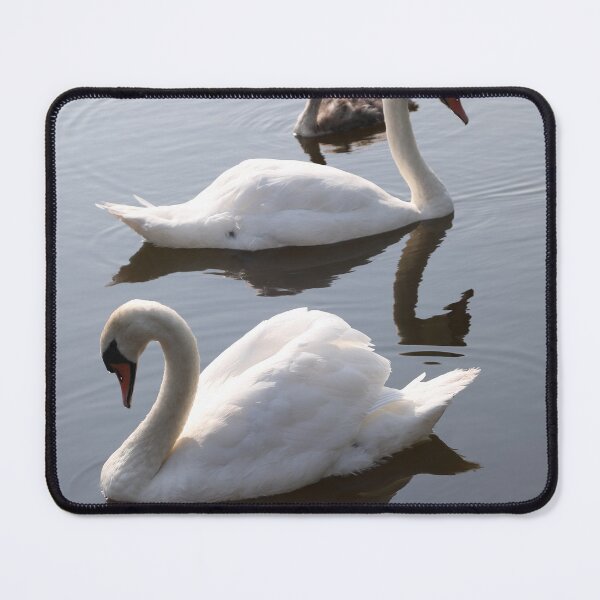 Item preview, Swans designed and sold by Raymond Kerr.