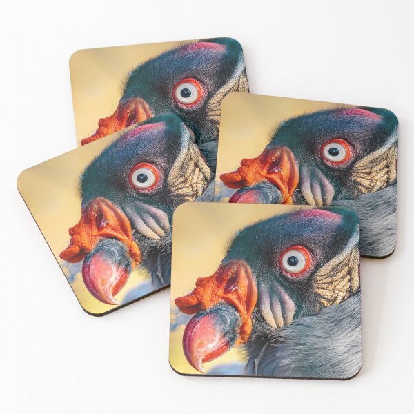 Item preview, King Vulture up close and personal designed and sold by Dalyndigital Photography.