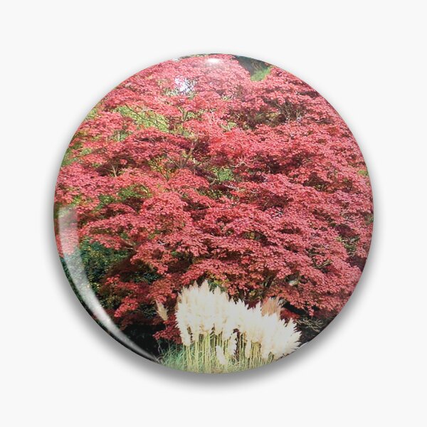 Item preview, Jigsaw. Pampas, Sheffield Park, Sussex, England designed and sold by QualitySolution.