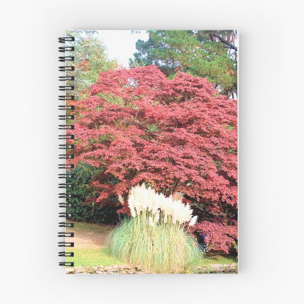 Item preview, Rompecabezas. Pampas, Sheffield Park, Sussex, Inglaterra designed and sold by QualitySolution.