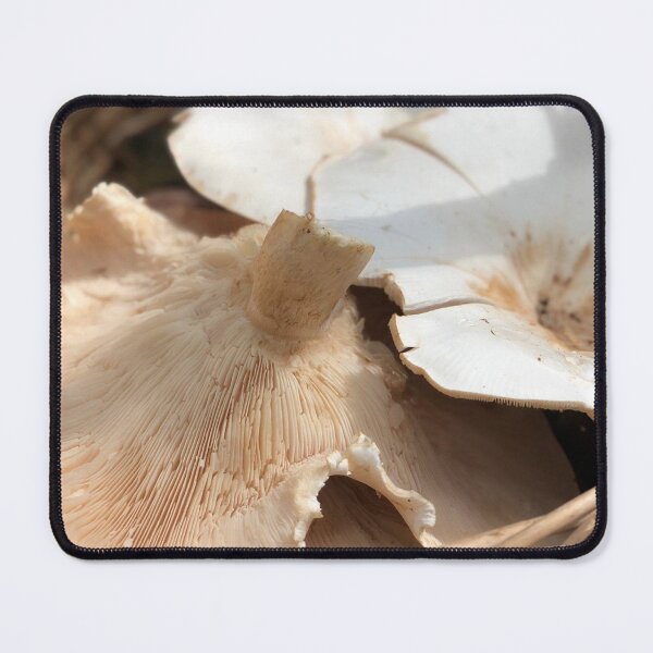 Item preview, mushroom harvest designed and sold by Sankofa.