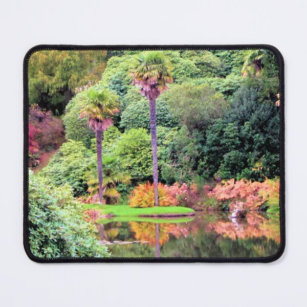 Item preview, Palm Trees, Sheffield Park, England designed and sold by QualitySolution.