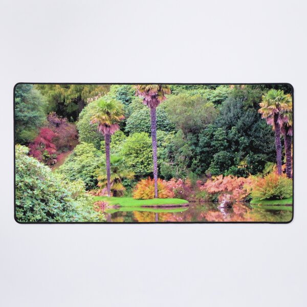Item preview, Palm Trees, Sheffield Park, England designed and sold by QualitySolution.