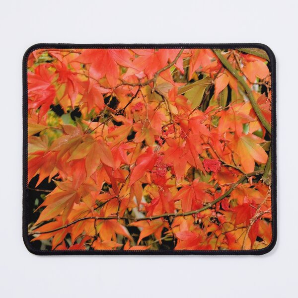 Item preview, Leaves, Sheffield Park, England designed and sold by QualitySolution.