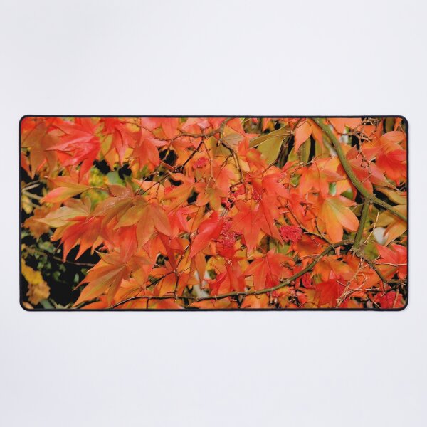 Item preview, Leaves, Sheffield Park, England designed and sold by QualitySolution.