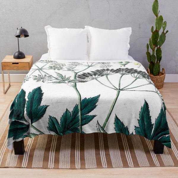 Item preview, Pastinaca ligusticifolia Wight & Arn. botanical illustration designed and sold by Yviemakes.
