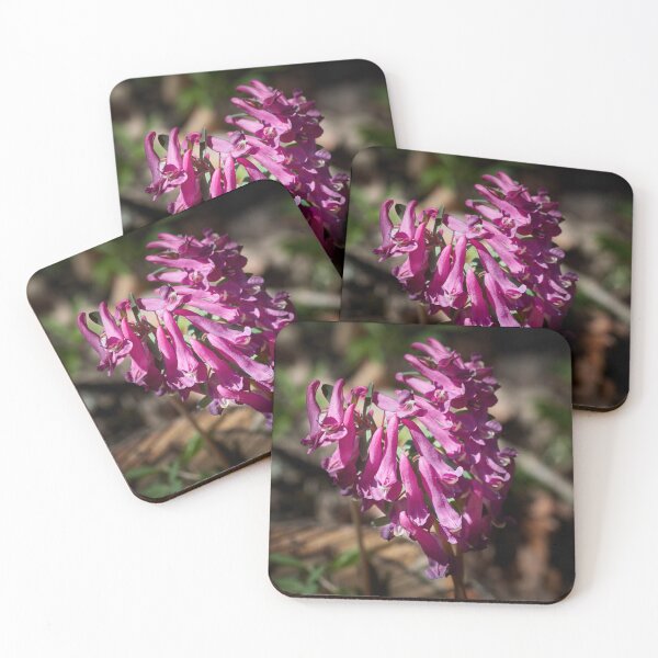 Item preview, Corydalis heart designed and sold by Jouko Lehto Photography.