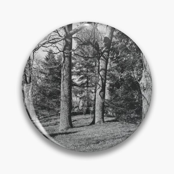Item preview, Under the naked oaks vertical bw designed and sold by Jouko Lehto Photography.