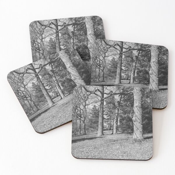 Item preview, Under the naked oaks vertical bw designed and sold by Jouko Lehto Photography.