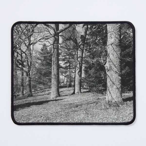 Item preview, Under the naked oaks vertical bw designed and sold by Jouko Lehto Photography.