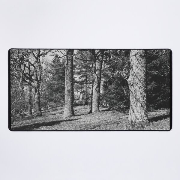 Item preview, Under the naked oaks vertical bw designed and sold by Jouko Lehto Photography.