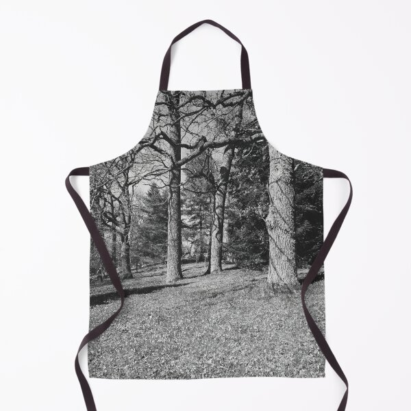 Item preview, Under the naked oaks vertical bw designed and sold by Jouko Lehto Photography.