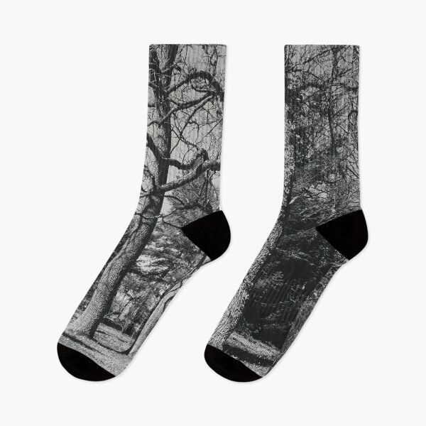 Item preview, Under the naked oaks vertical bw designed and sold by Jouko Lehto Photography.