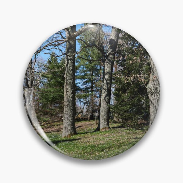 Item preview, Under the naked oaks vertical designed and sold by Jouko Lehto Photography.