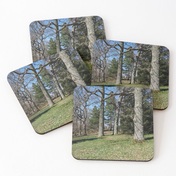 Item preview, Under the naked oaks vertical designed and sold by Jouko Lehto Photography.