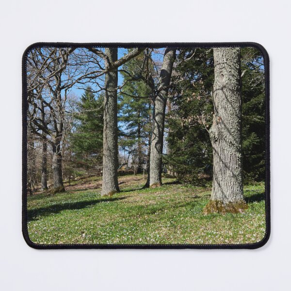 Item preview, Under the naked oaks vertical designed and sold by Jouko Lehto Photography.