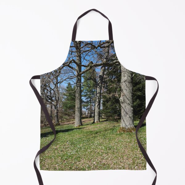 Item preview, Under the naked oaks vertical designed and sold by Jouko Lehto Photography.