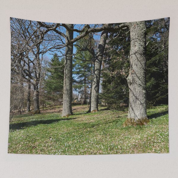 Item preview, Under the naked oaks vertical designed and sold by Jouko Lehto Photography.
