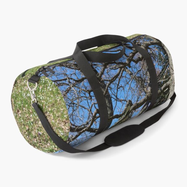 Item preview, Under the naked oaks vertical designed and sold by Jouko Lehto Photography.