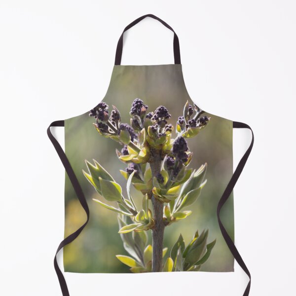 Aperçu de l'œuvre Lilas créée et vendue par Calidris Fotografie Steffi & Ben Köppler.