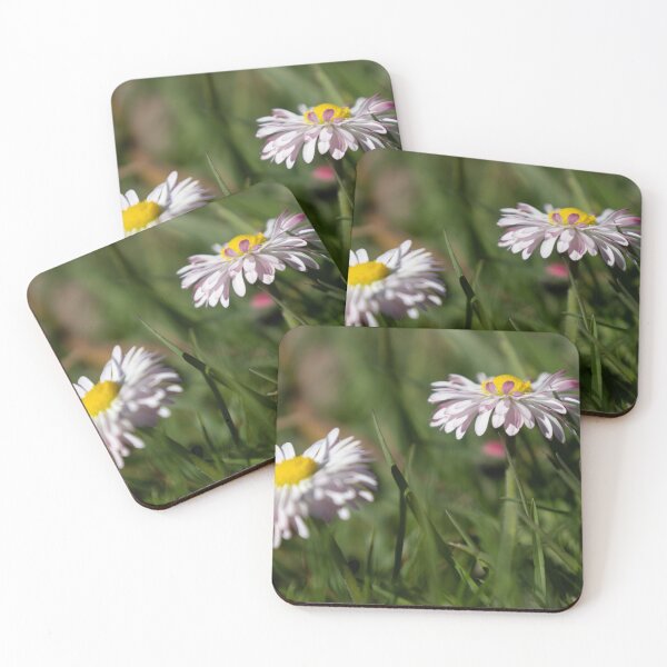 Item preview, Daisy designed and sold by Calidris Fotografie Steffi & Ben Köppler.