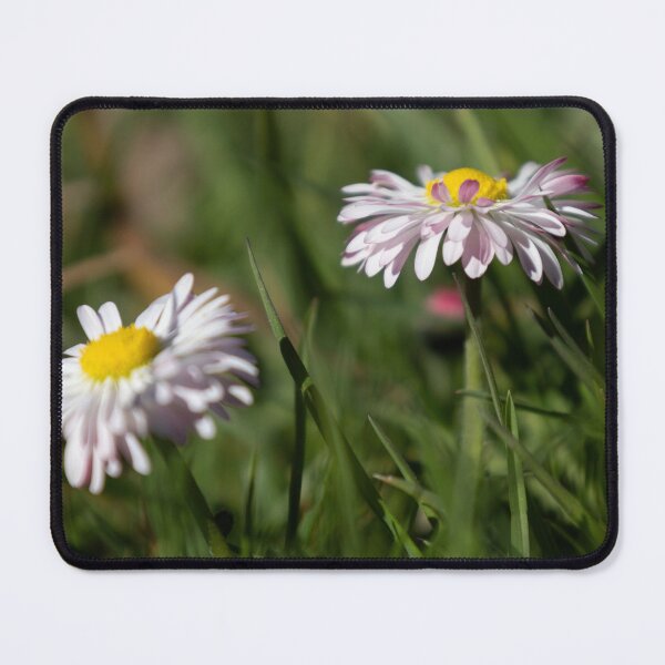 Item preview, Daisy designed and sold by Calidris Fotografie Steffi & Ben Köppler.