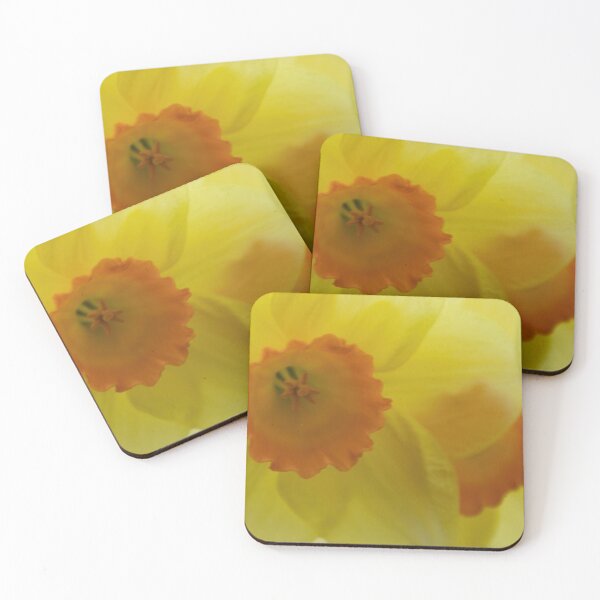 Item preview, Daffodil designed and sold by Calidris Fotografie Steffi & Ben Köppler.