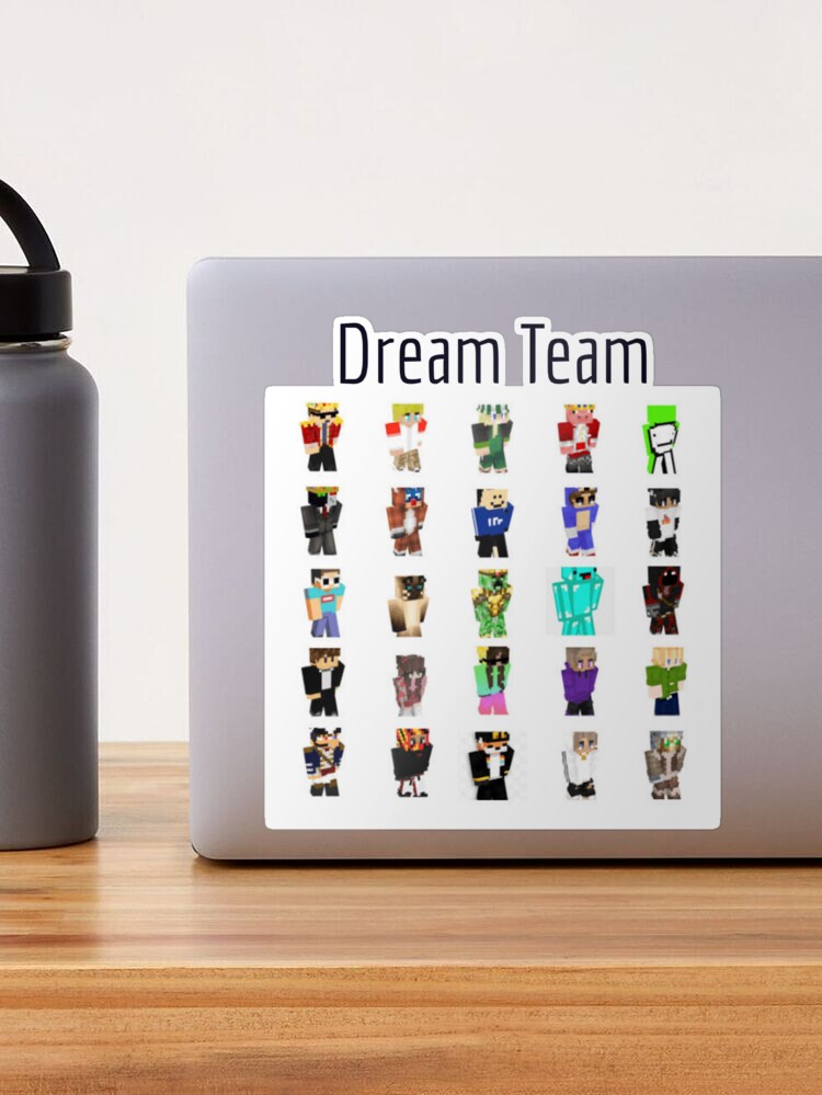 dream & sapnap  Minecraft skins aesthetic, Dream team, Dream team app