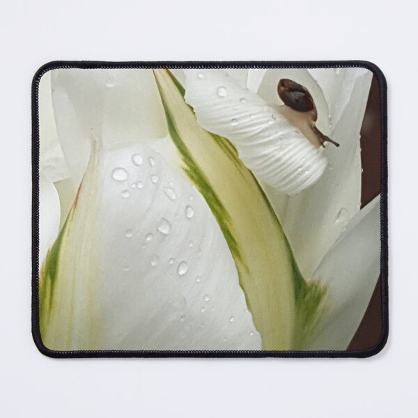 Item preview, Melancholy of slowness designed and sold by Sankofa.