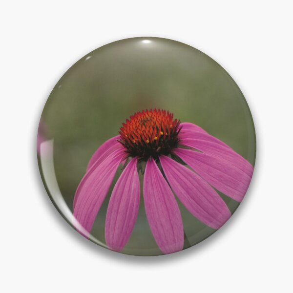 Item preview, Coneflower designed and sold by carolmaia.