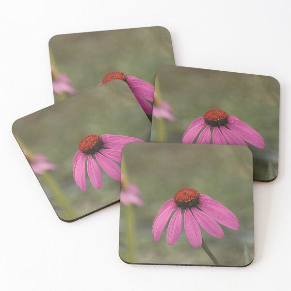 Item preview, Coneflower designed and sold by carolmaia.
