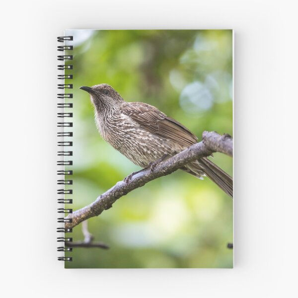 Item preview, Boulder's Beach Birdlife designed and sold by Daniel Rankmore.