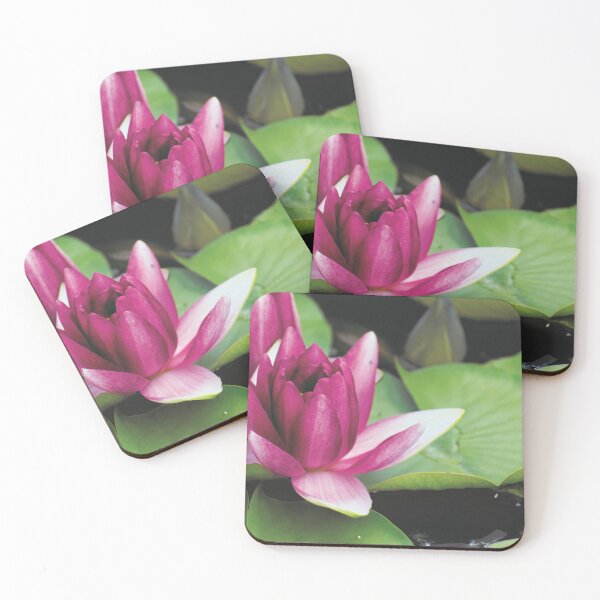 Item preview, Pink water lily designed and sold by carolmaia.