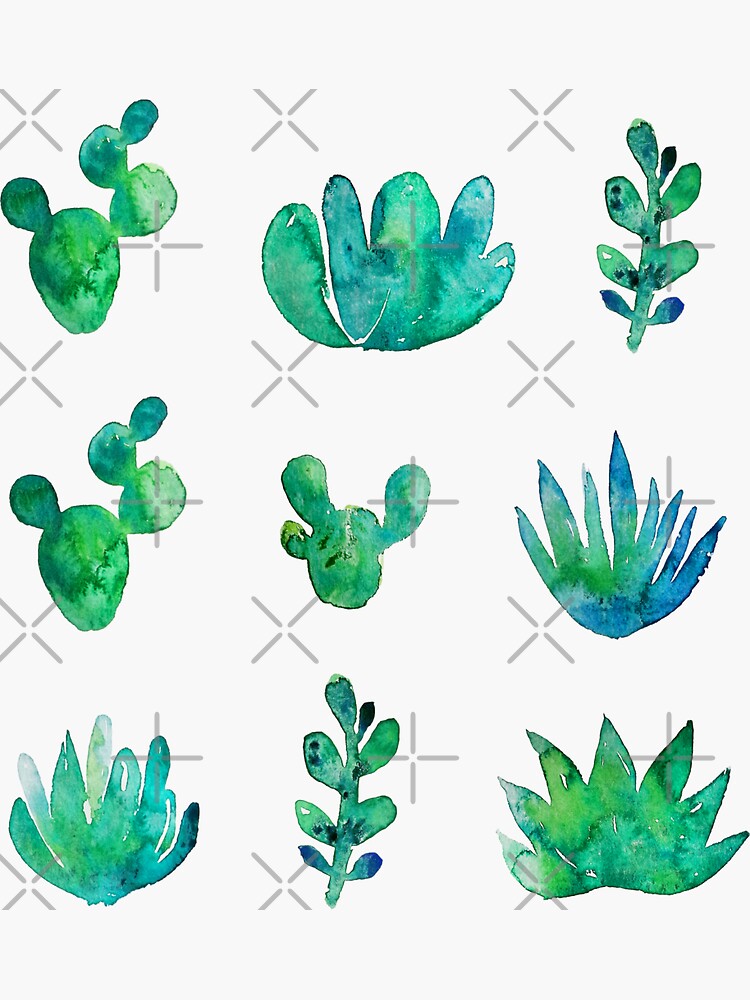 Watercolor Succulents by kostolom3000