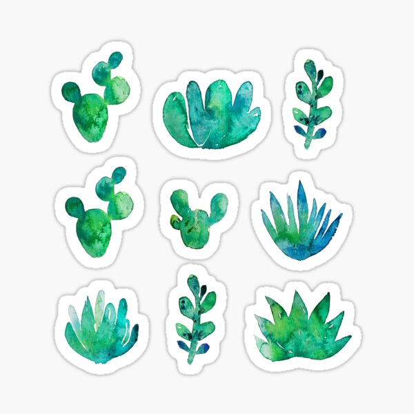 Watercolor Succulents Sticker
