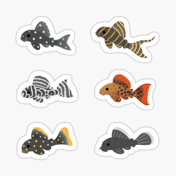 Fish Chart Stickers for Sale