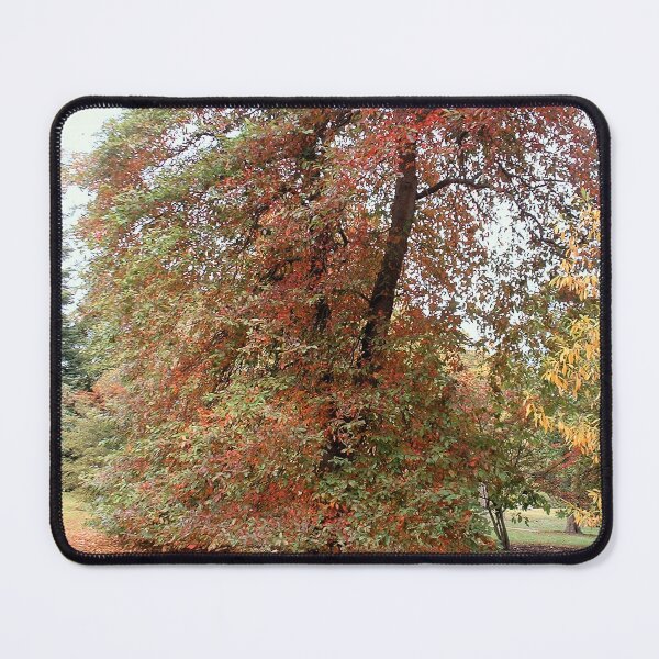 Item preview, Colours, Sheffield Park, England designed and sold by QualitySolution.