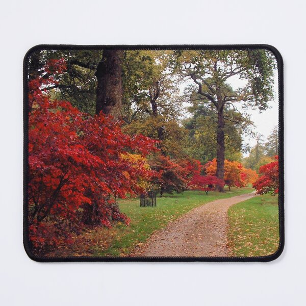 Item preview, Autumn (fall) Colours, Sheffield Park, England designed and sold by QualitySolution.