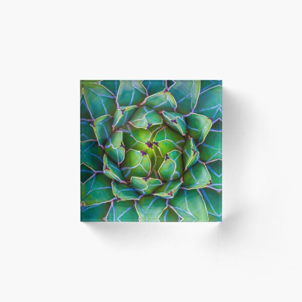 Succulent succulent Acrylic Block